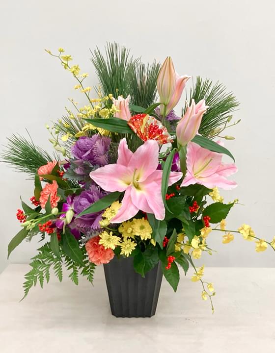 胡蝶蘭 スタンダード（5本立）