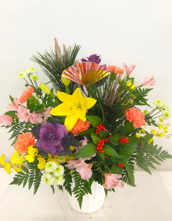 胡蝶蘭 特選（5本立）