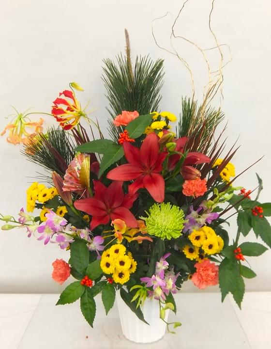 胡蝶蘭 スタンダード（3本立）