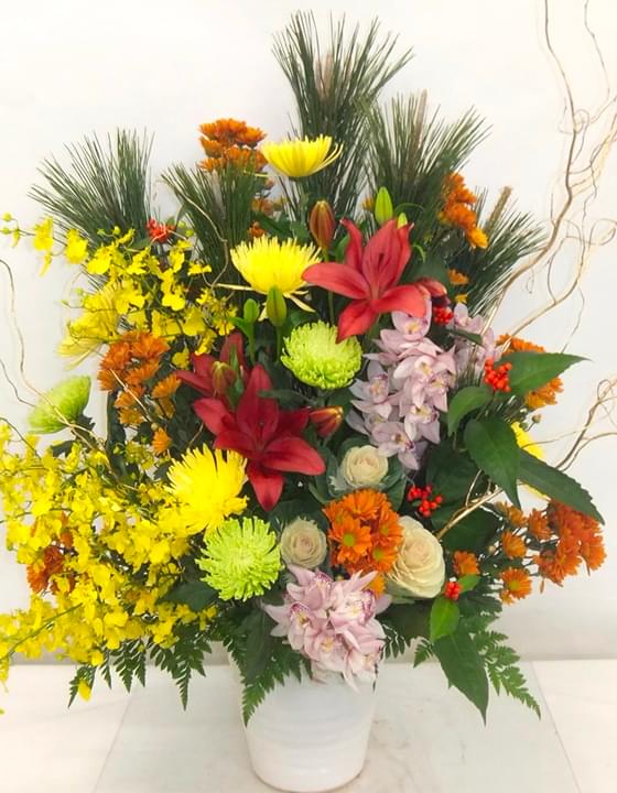 胡蝶蘭 S特選（3本立）